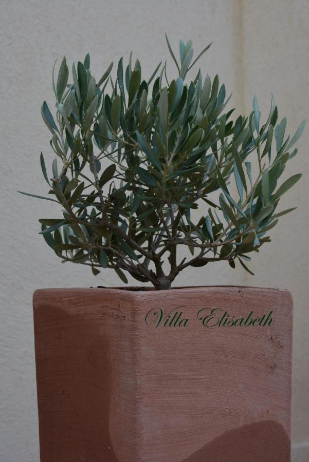 Villa Elisabeth Aix-en-Provence Luaran gambar